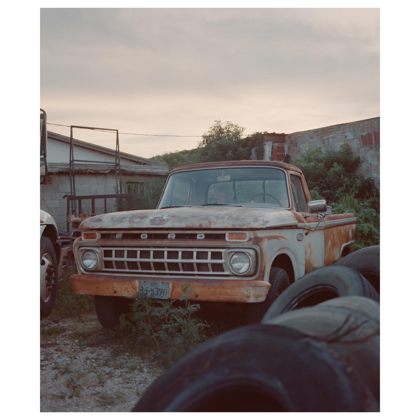 A rusty Ford pickup truck is parked in a lot with overgrown weeds and a pile of tires in the foreground.