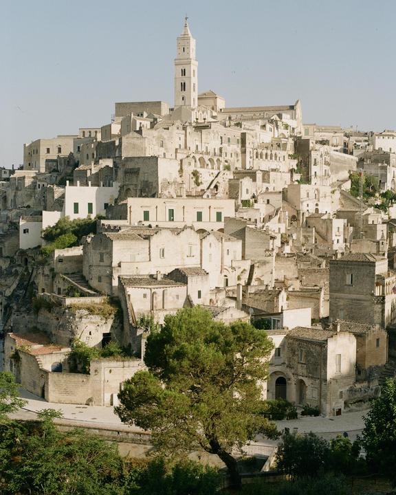 A large tree stands in front of a hillside town with a tall bell tower.