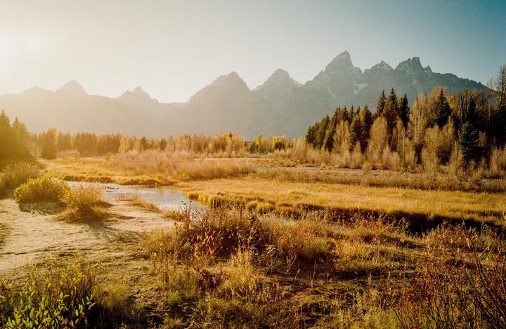 A golden field with a small stream runs through it, with mountains and trees in the background.