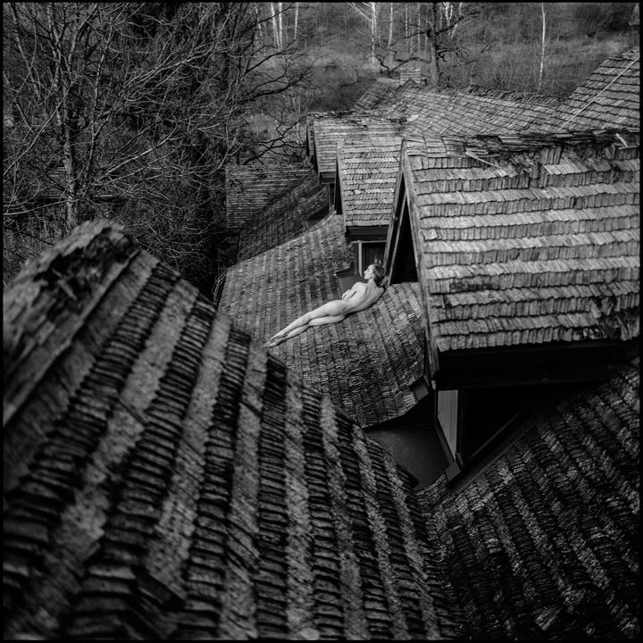 A nude woman reclines on a shingled roof next to a dormer window, with bare trees in the background.