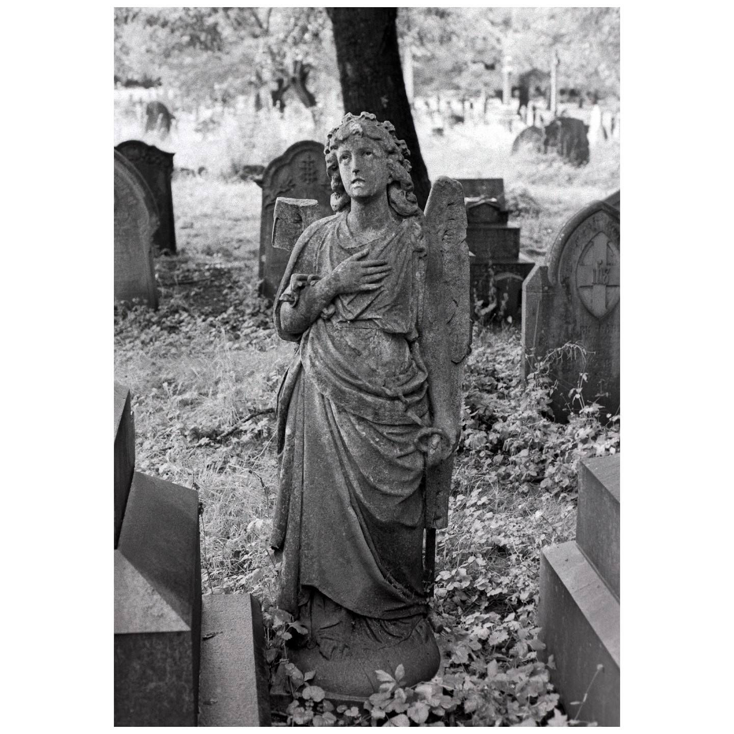 An angel statue stands among gravestones in a cemetery.