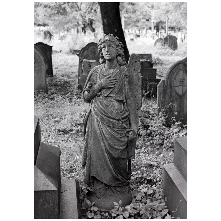 An angel statue stands among gravestones in a cemetery.