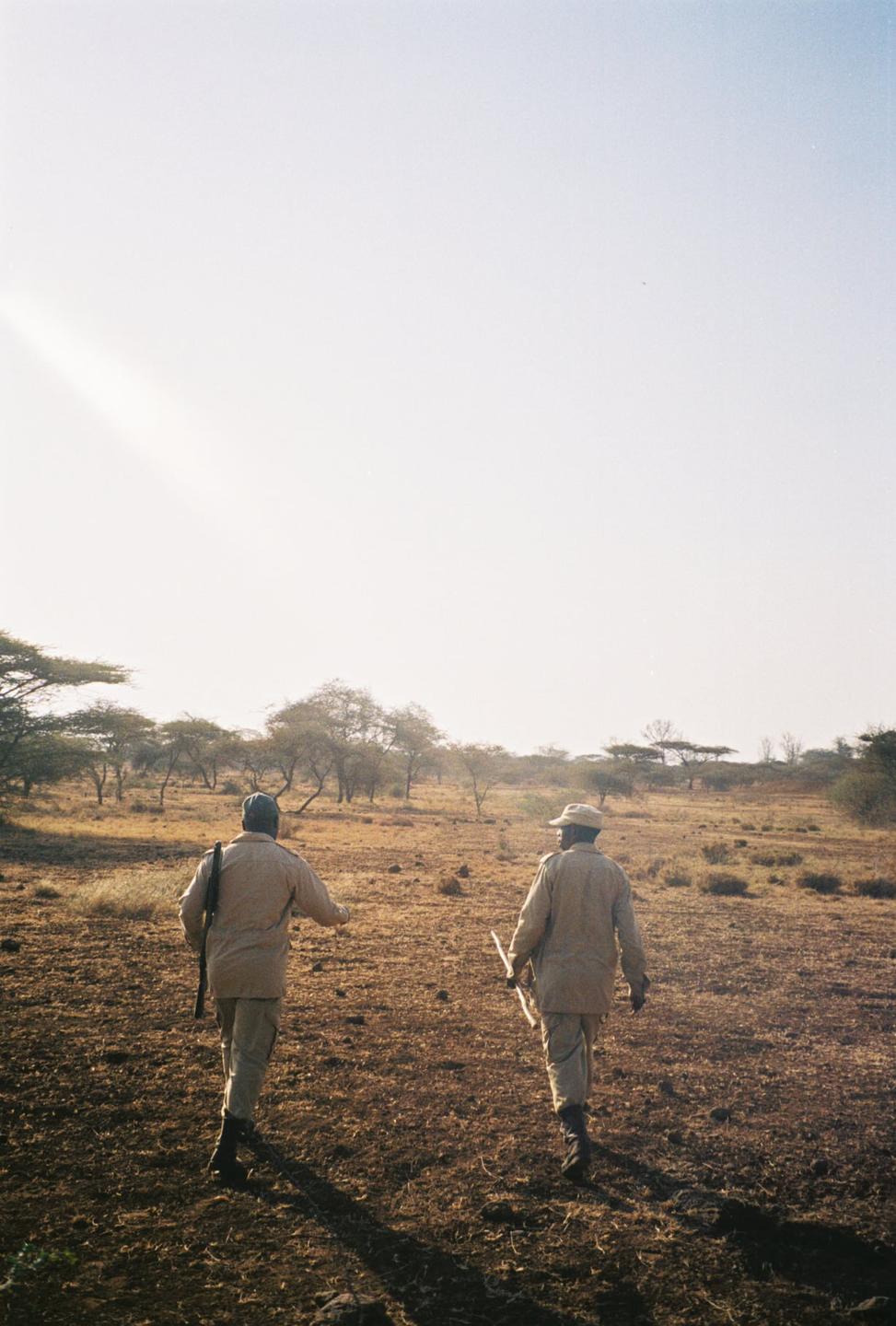 Two men walk away from the camera across a dry, grassy field with trees in the distance under a bright sky.