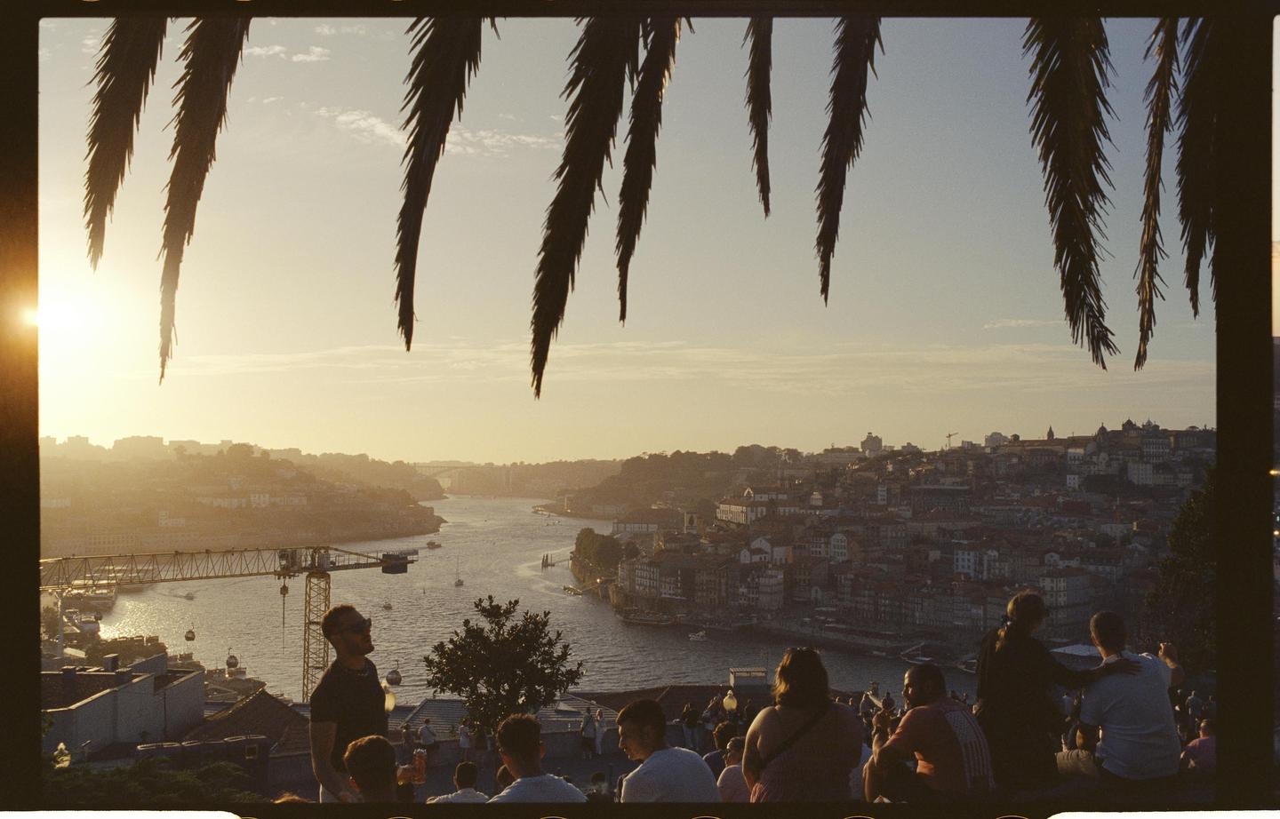 A group of people sit on a hillside overlooking a city and river at sunset, framed by palm fronds.