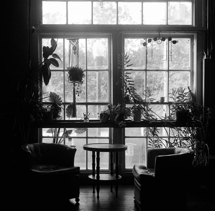 A room with two armchairs and a small table is lit by a large window filled with plants.