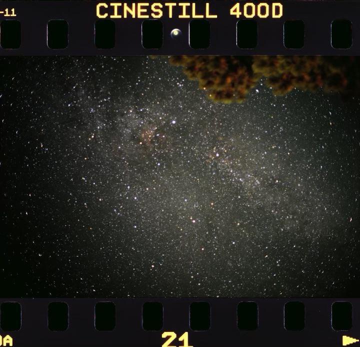 The Milky Way and Andromeda galaxy are visible in the night sky with a tree in the upper right.