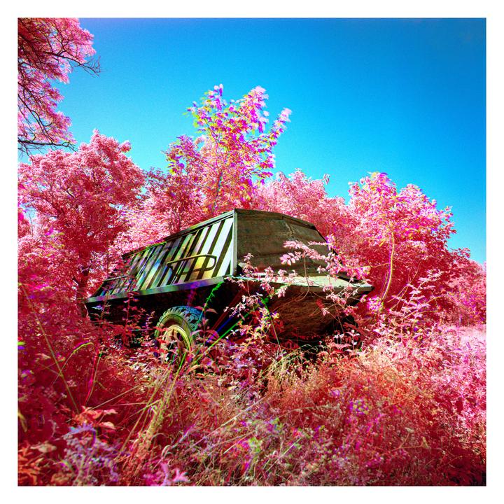 A vehicle is parked in a field of bright pink foliage under a clear blue sky.