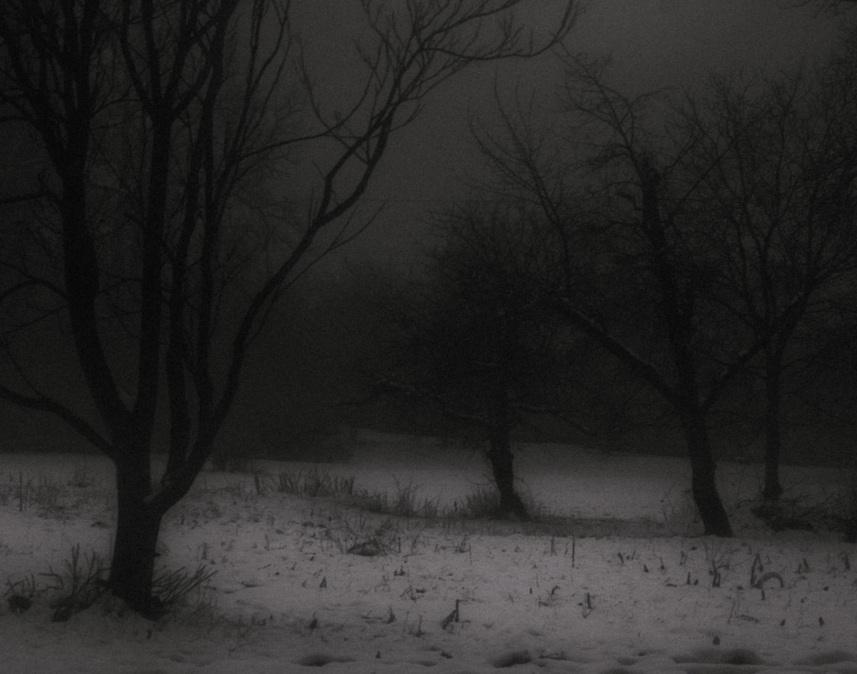 Bare trees stand in a snowy field under a dark, hazy sky.