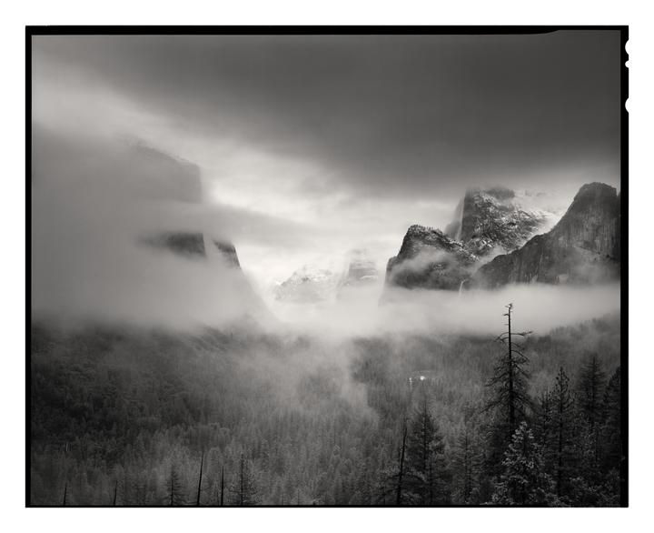 A dense fog covers a forest and mountains in Yosemite.