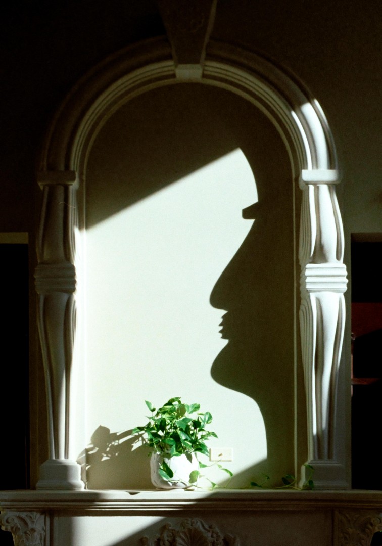 Profile Picture / / Olympus PEN-F, 28mm f4 Retina Curtagon, ProImage 100, shot on OLYMPUS PEN F