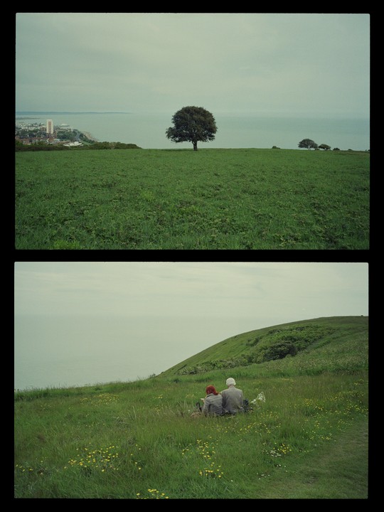 A couple sits in a grassy field overlooking the ocean and a distant town.