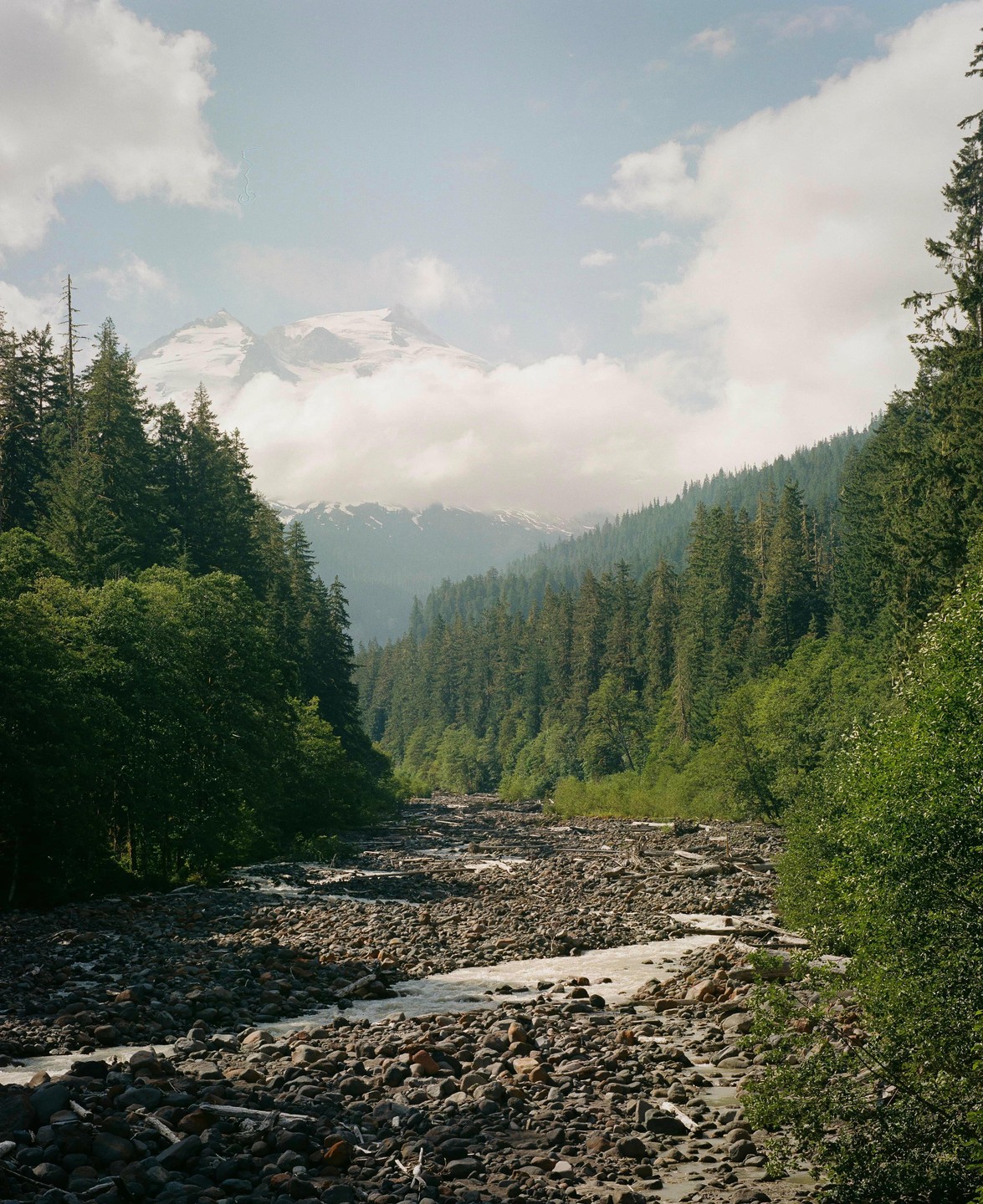 A wide riverbed filled with rocks and a small stream flows from a snow-capped mountain surrounded by a dense forest under a cloudy sky.