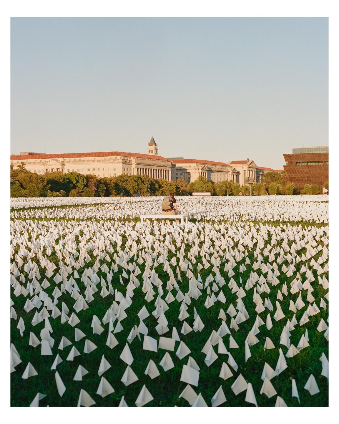 A man sits on a bench in a field of white flags with large buildings in the background.