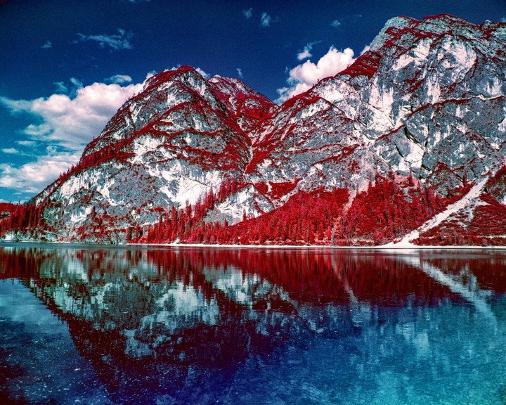 Red trees and white mountains are reflected in a blue lake under a blue sky with white clouds.
