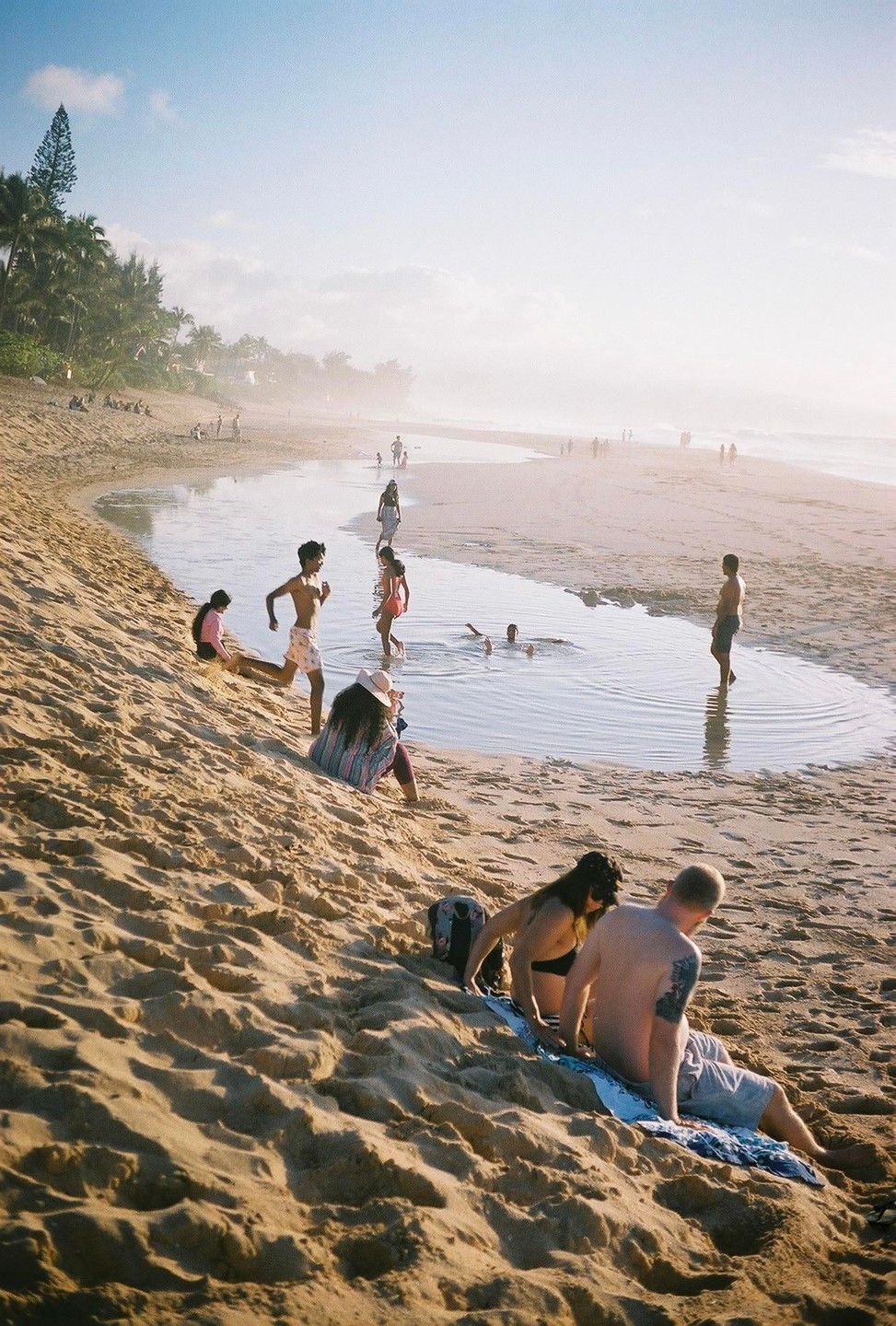 People are enjoying a sunny day on a sandy beach with palm trees and a body of water.