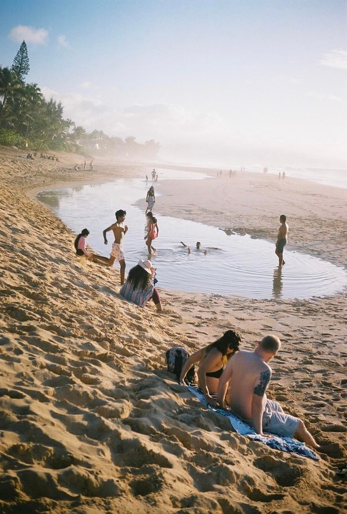 People are enjoying a sunny day on a sandy beach with palm trees and a body of water.