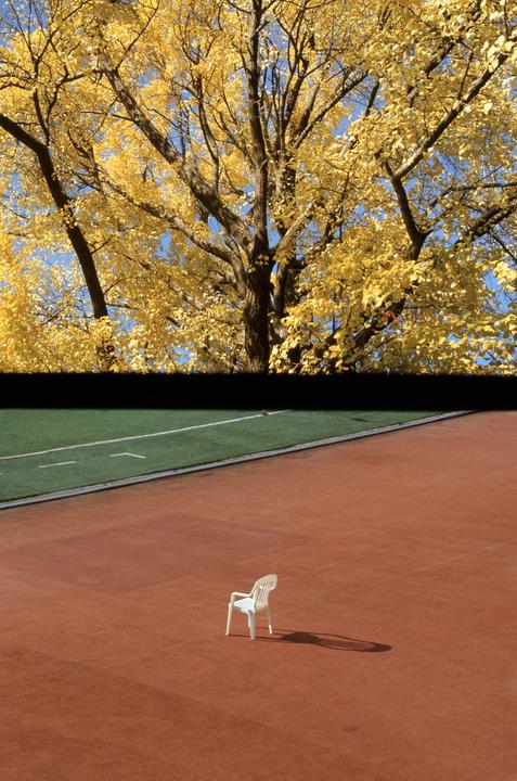 A white plastic chair sits on a red track next to a green field, with a large tree with yellow autumn foliage in the background.