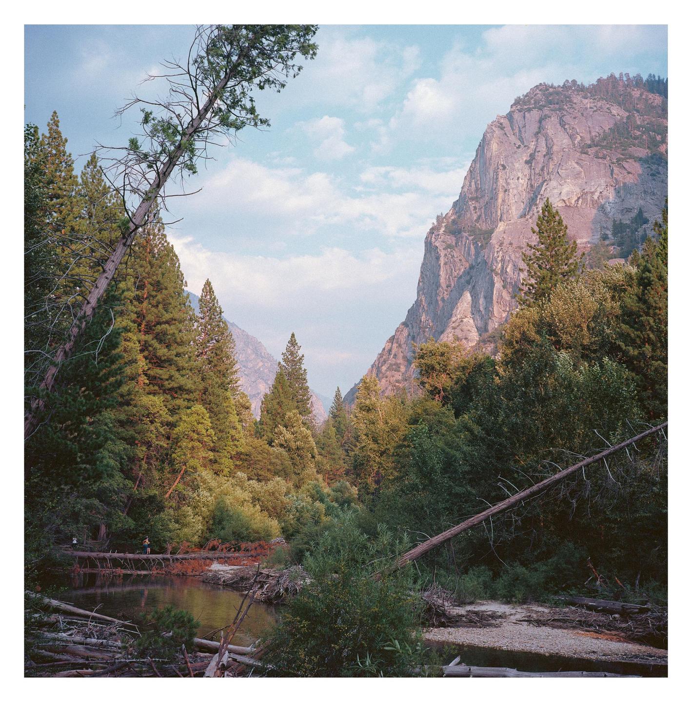 A river flows through a forest with mountains in the background under a cloudy sky.