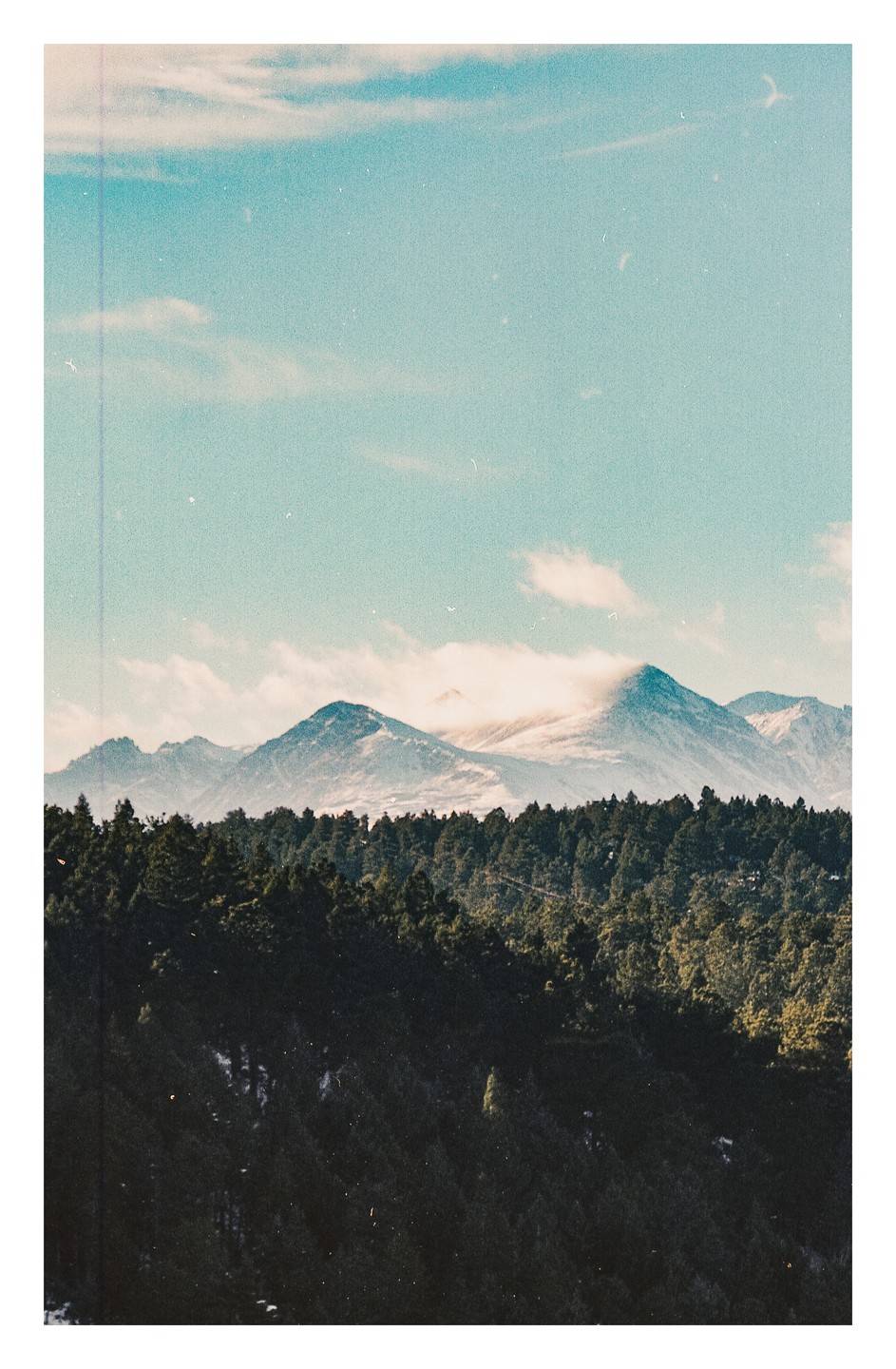 A dense forest of pine trees sits below snow-capped mountains under a blue sky with scattered clouds.