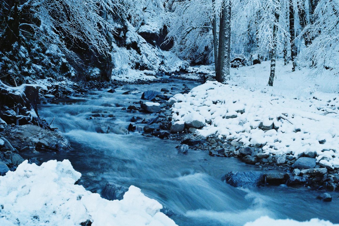 A river flows through a snowy forest with trees and rocks covered in snow.