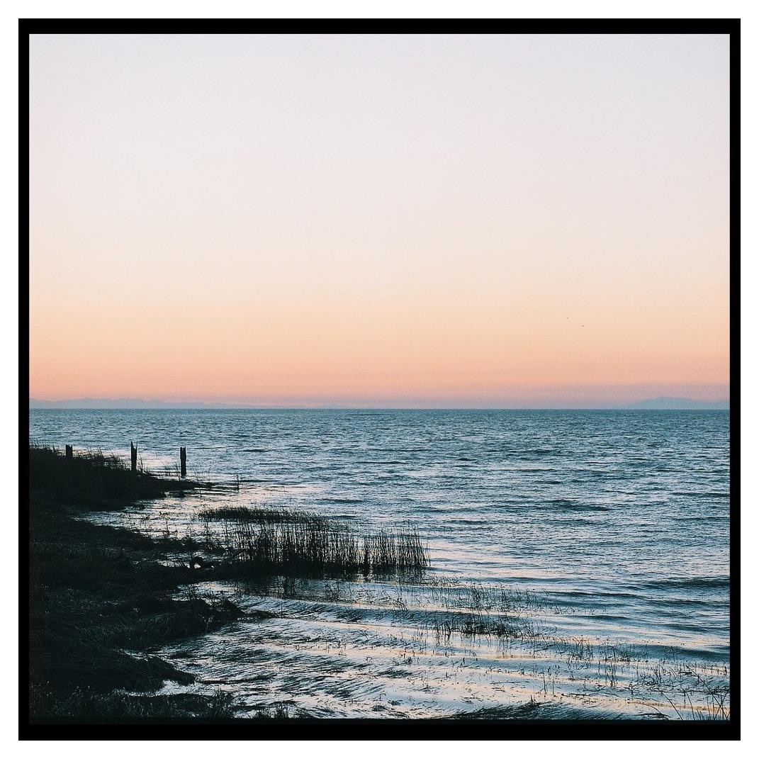 The sun sets over a body of water with a grassy shore.
