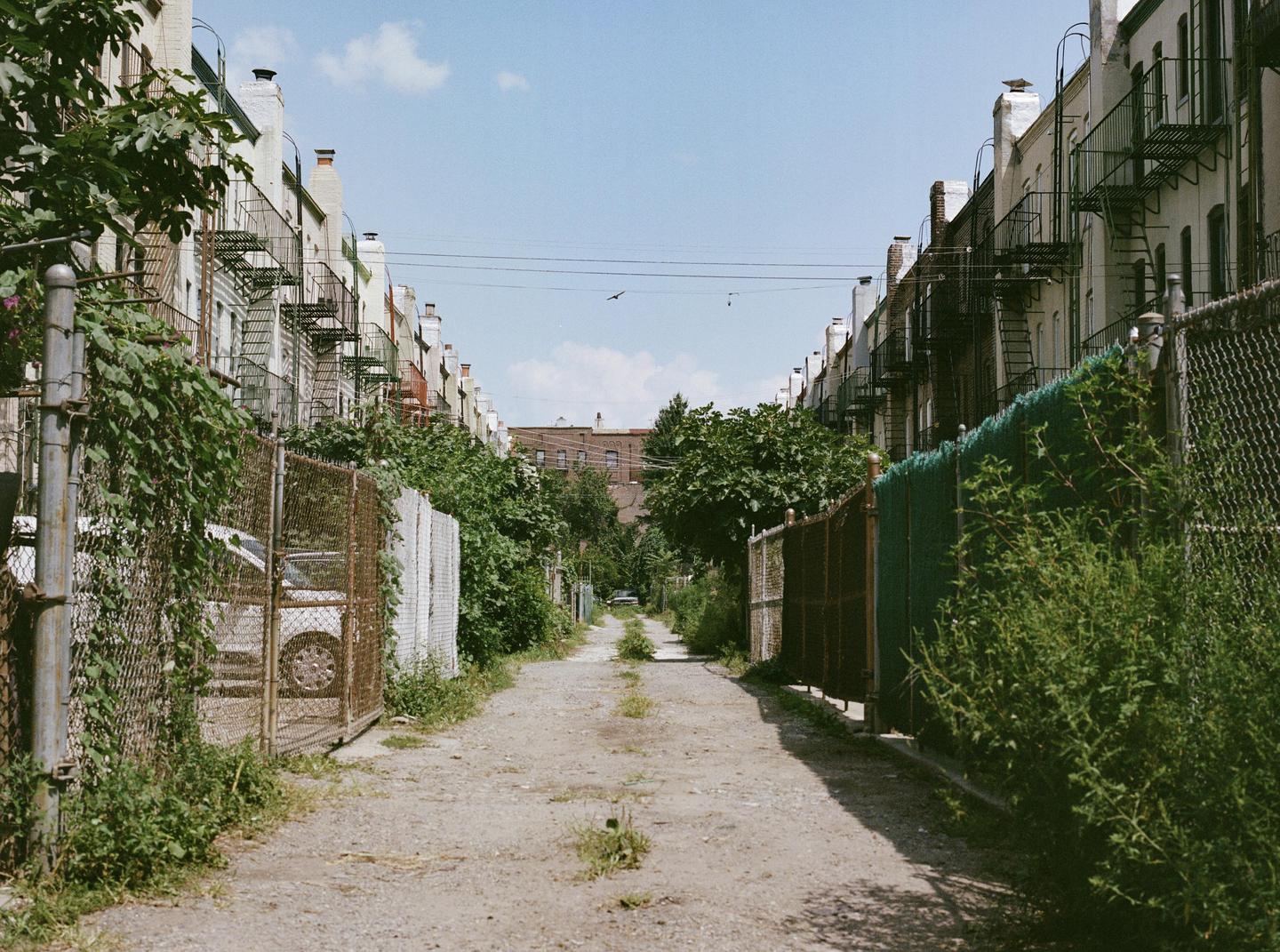 A narrow dirt alley is lined with fences and overgrown vegetation, with residential buildings visible on both sides under a clear sky.