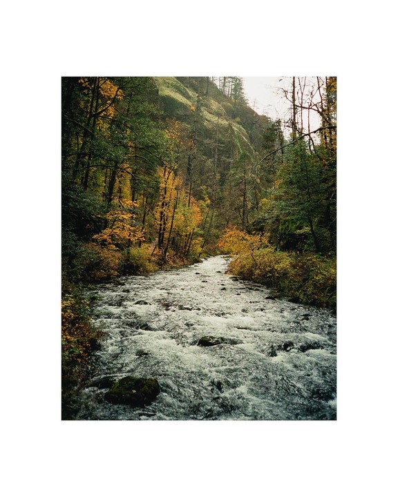 A river flows through a forest with autumn foliage.