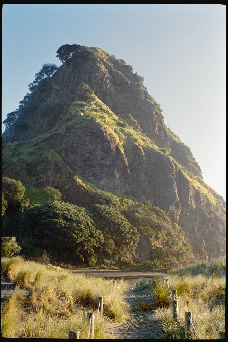 A path leads through tall grass towards a body of water with a large, rocky, tree-covered mountain in the background.
