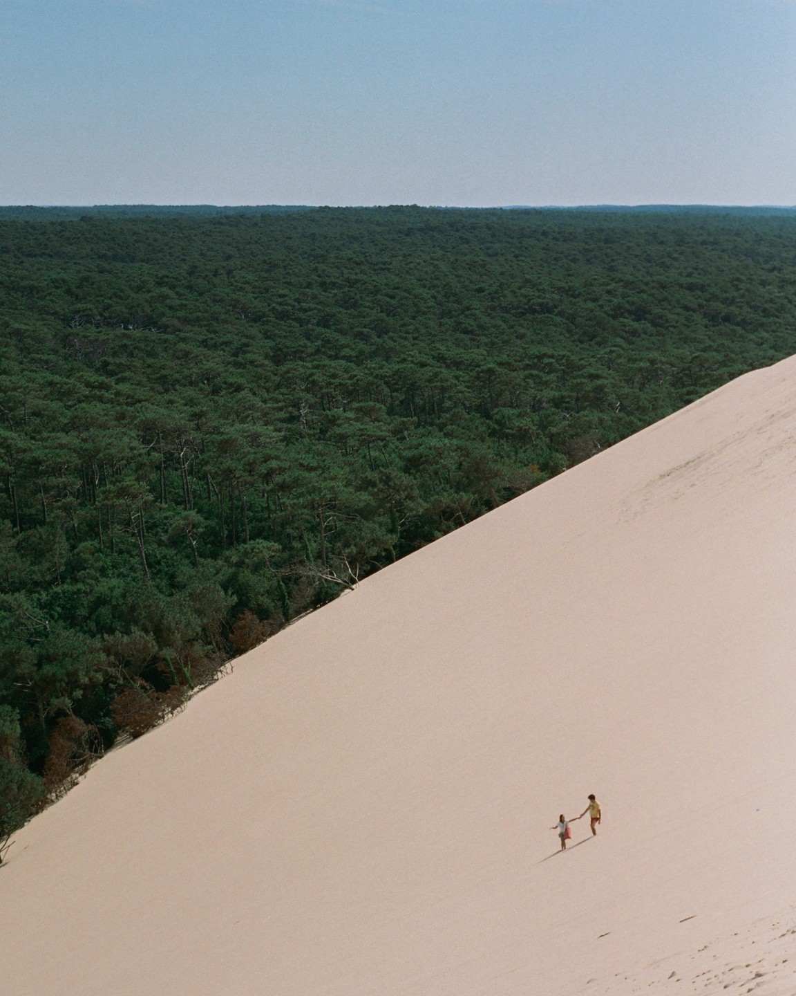 Two people walk hand-in-hand on a large sand dune next to a forest.