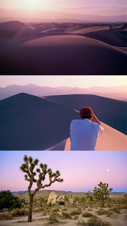 A triptych shows a desert landscape with sand dunes, a man on a dune, and a joshua tree under a pink and blue sky.