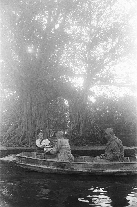 A woman offers flowers to a monk in a boat on a body of water, with large trees and roots in the background.