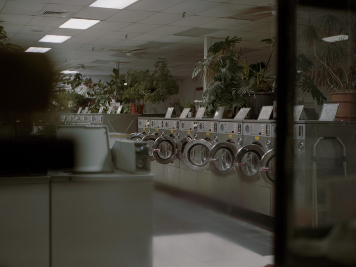 A row of washing machines with potted plants on top are visible in a laundromat.