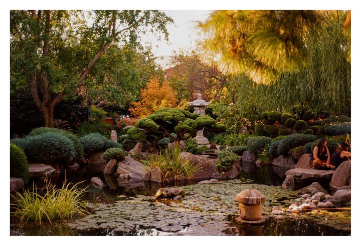 Two women sit by a pond with lily pads in a lush garden with a stone lantern.