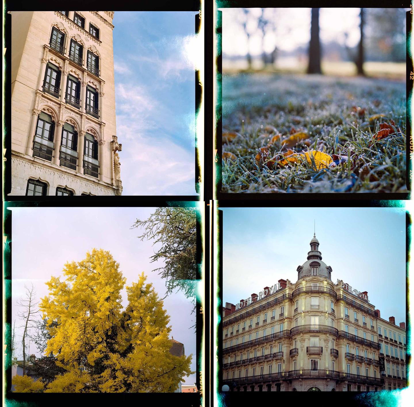 Four square format images show a tall building, frosted grass and leaves, a tree with yellow foliage, and a domed building.