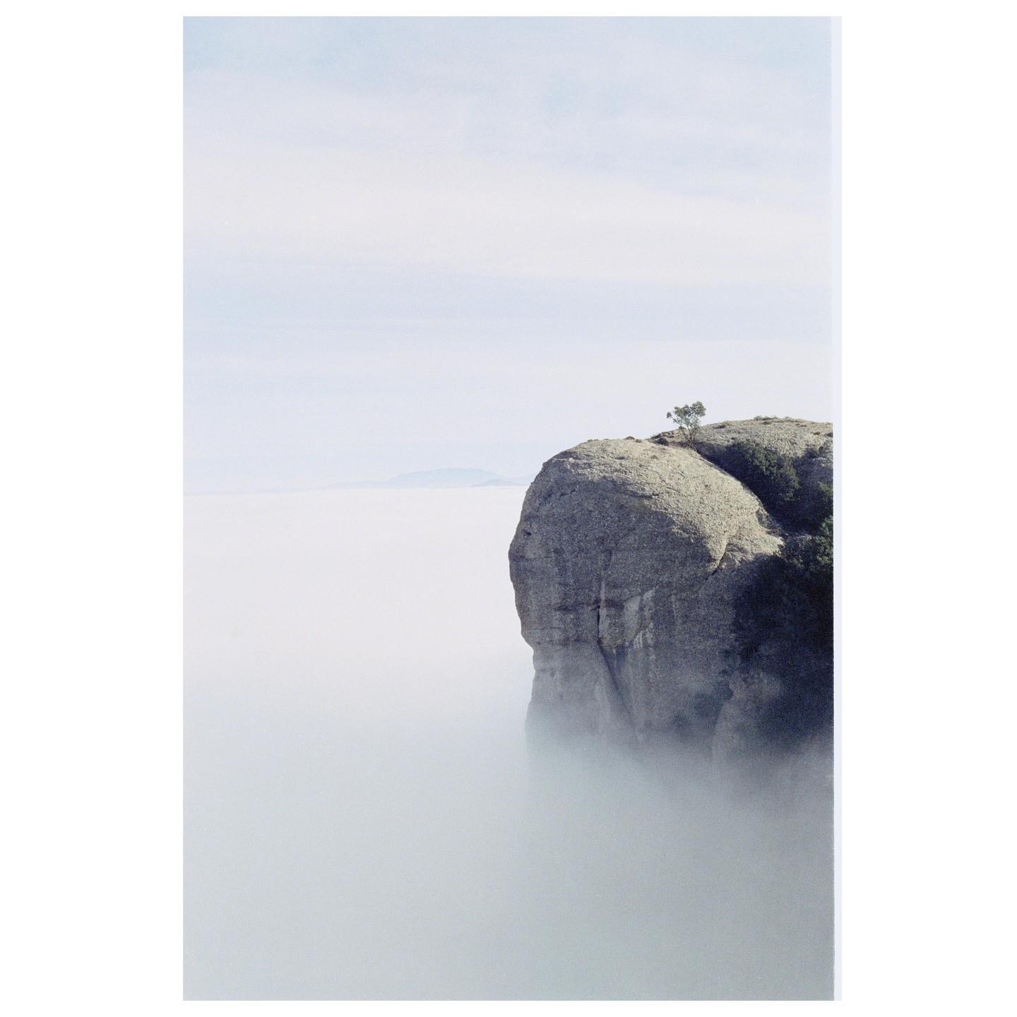 A lone tree grows on a rocky cliff overlooking a valley filled with mist.