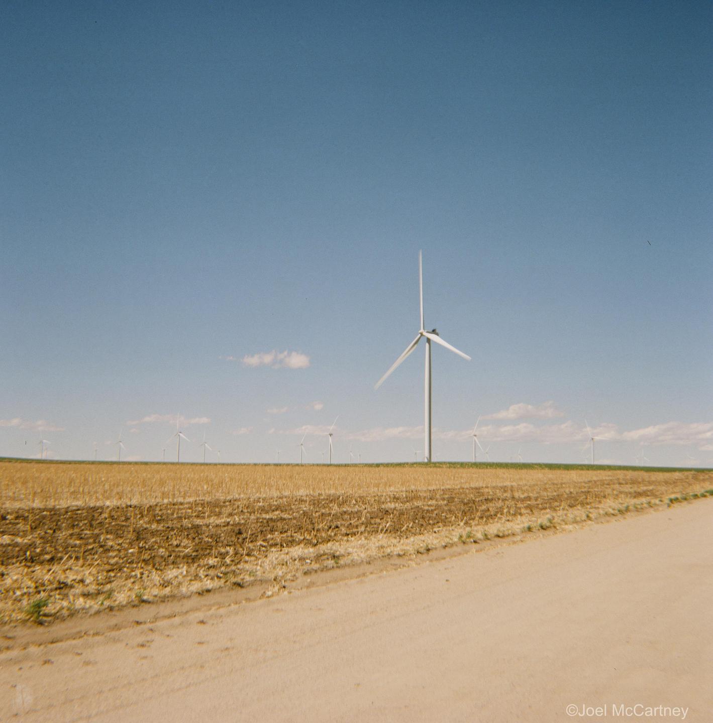 A dirt road runs alongside a field with numerous wind turbines under a clear blue sky.