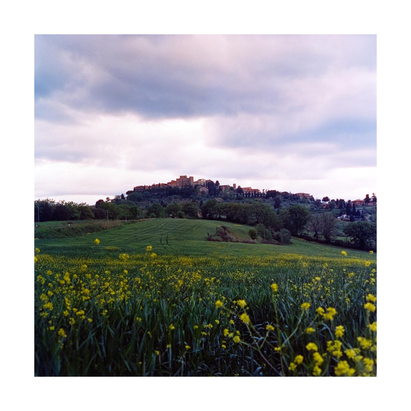 A field of yellow flowers and green grass leads to a distant town on a hill under a cloudy sky.