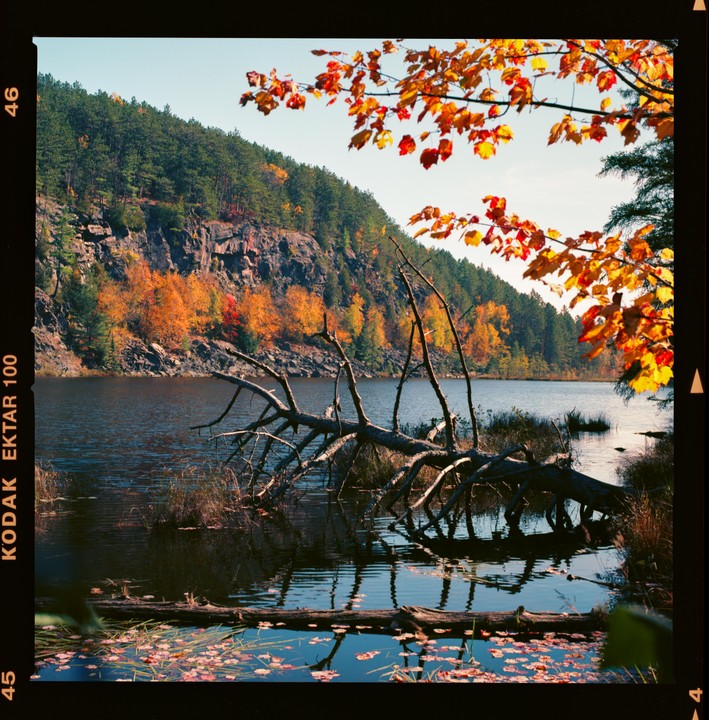 A fallen tree lies in a lake surrounded by autumn foliage and a rocky hillside.