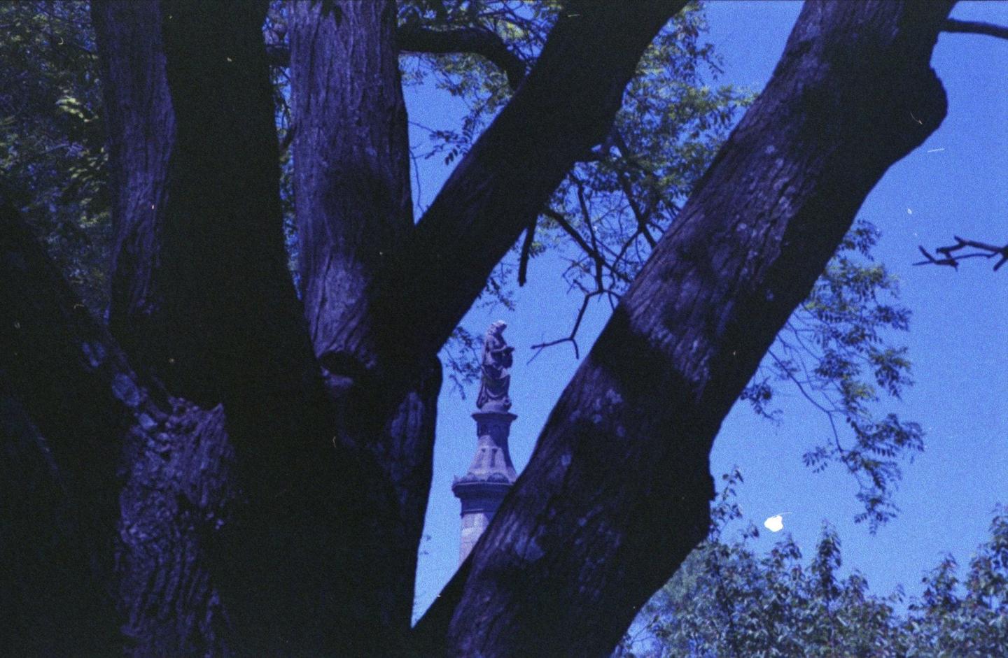 A statue on a tall column is visible through the dark branches of a tree against a bright blue sky.