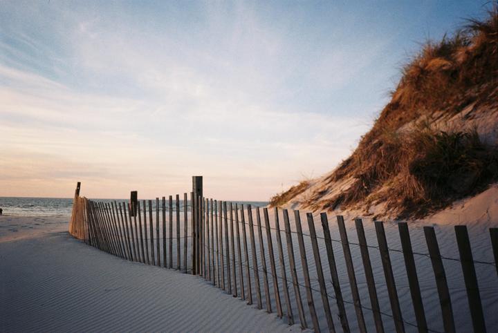 A wooden fence runs along a sandy beach next to a dune with the ocean in the distance under a soft sky.