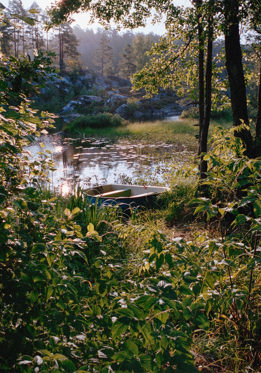 A small boat sits on the grassy bank of a lake surrounded by trees and rocks.
