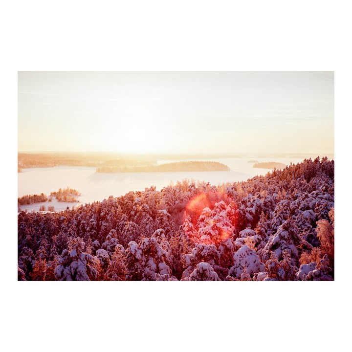 A snowy forest and frozen lake are illuminated by the setting sun.