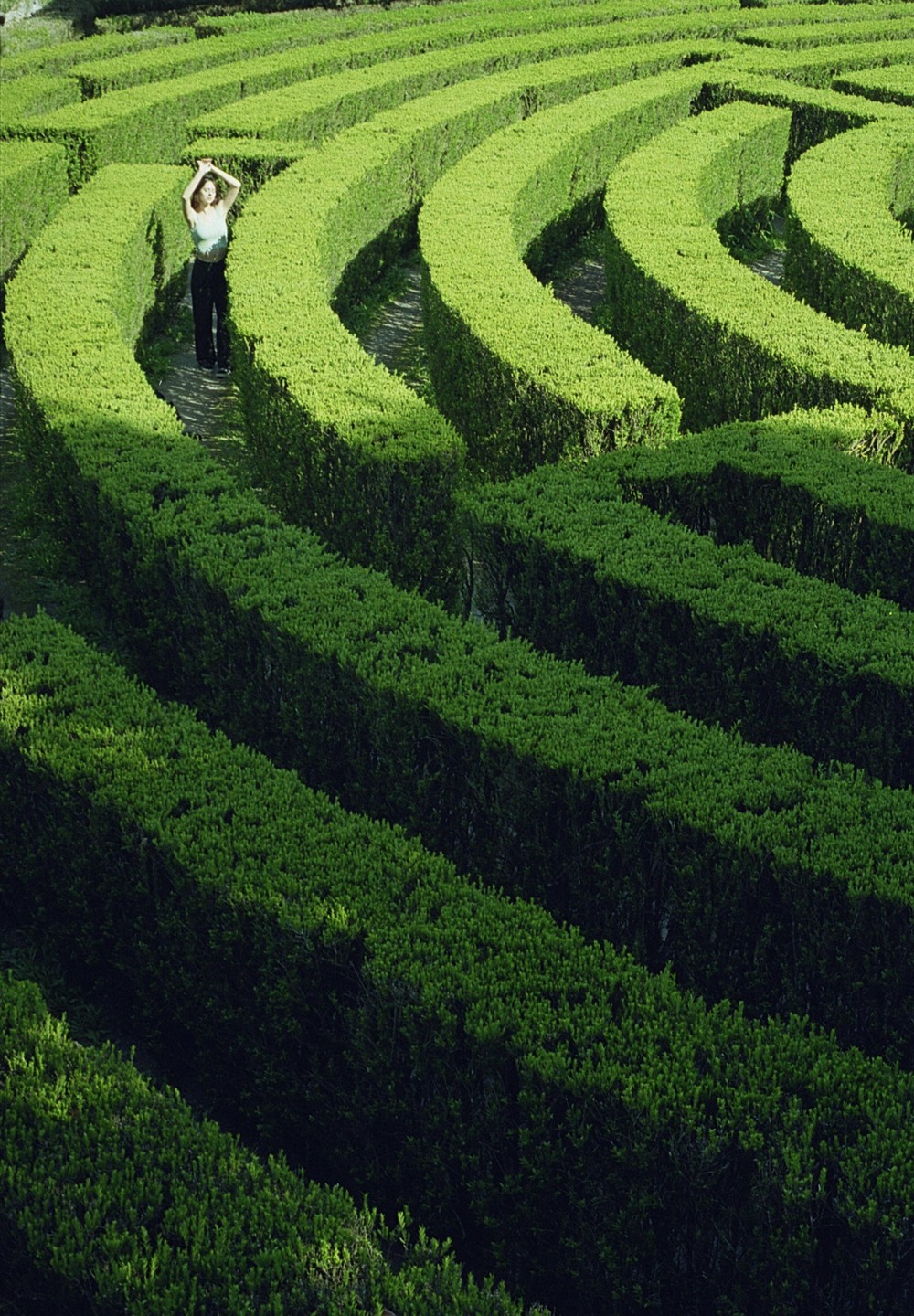 A woman stands in a green hedge maze with her arms raised above her head.