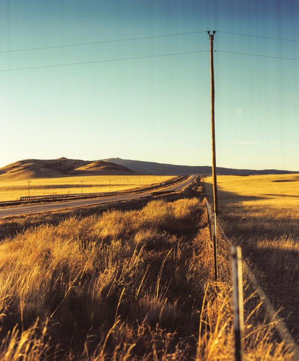 A long road stretches through a golden field with hills in the distance under a clear sky.