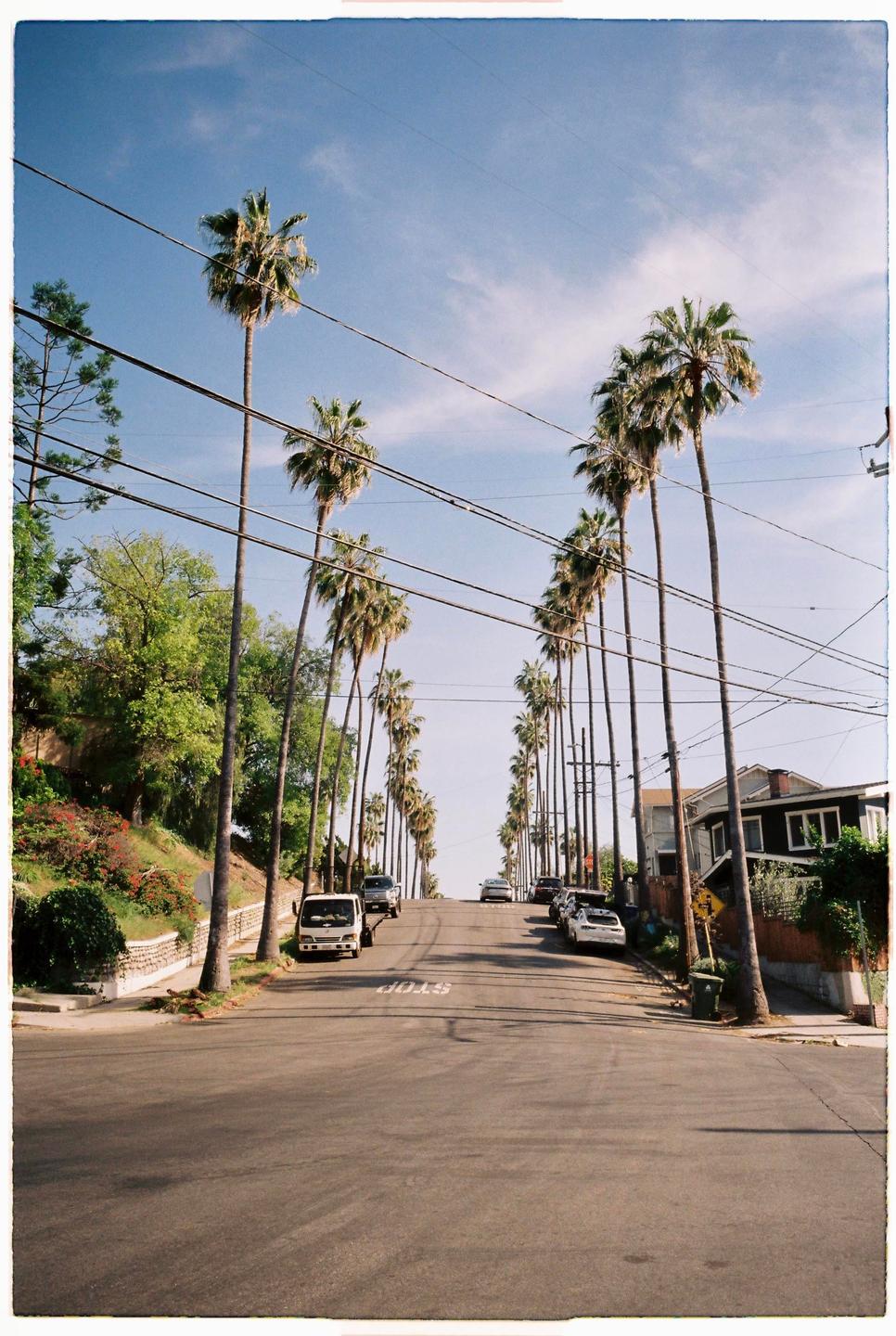 A street lined with palm trees and parked cars ascends a hill under a clear sky.