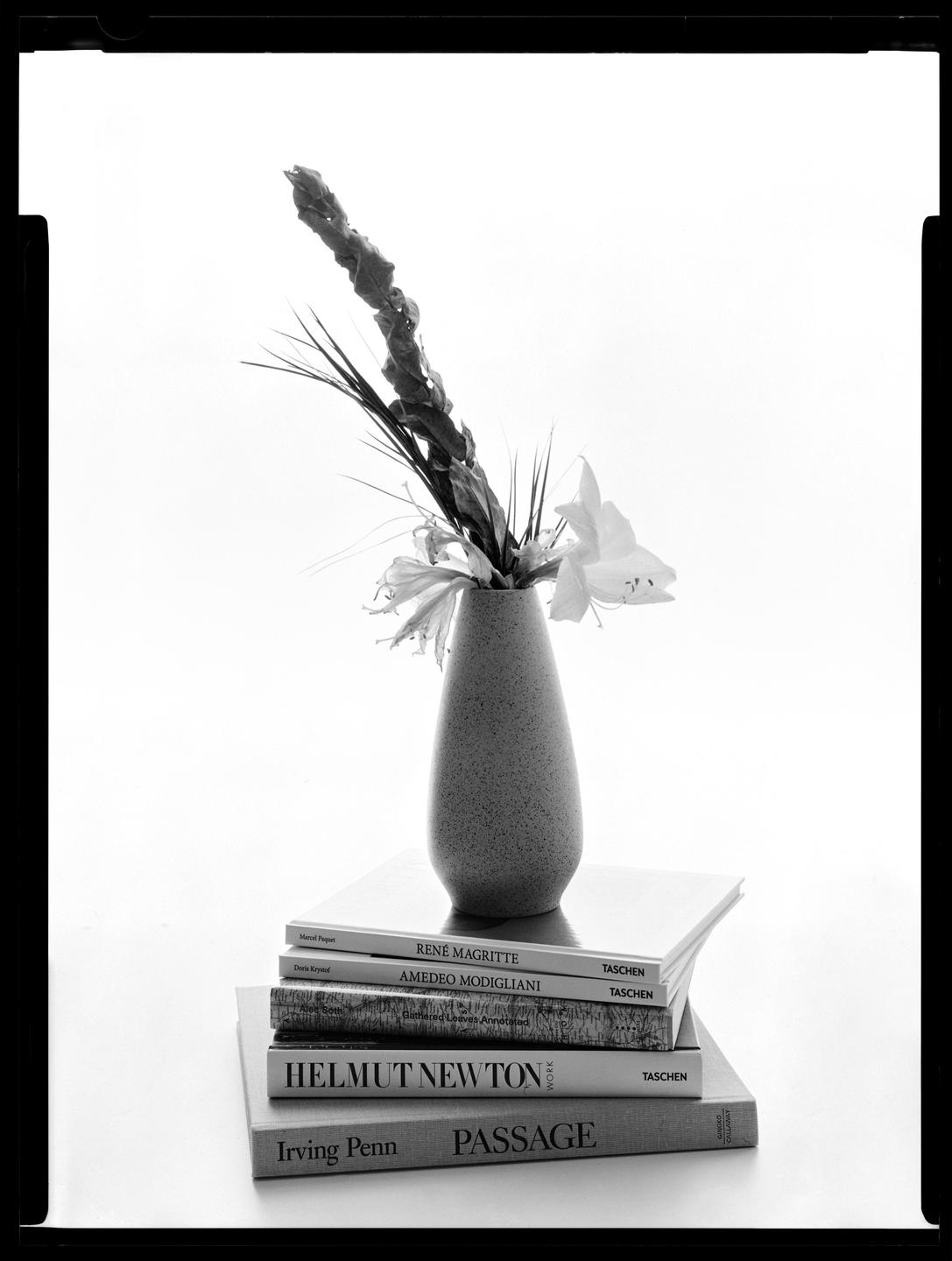 A vase with flowers sits atop a stack of books.