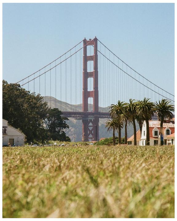 The Golden Gate Bridge is visible behind a field of tall grass, palm trees, and buildings.