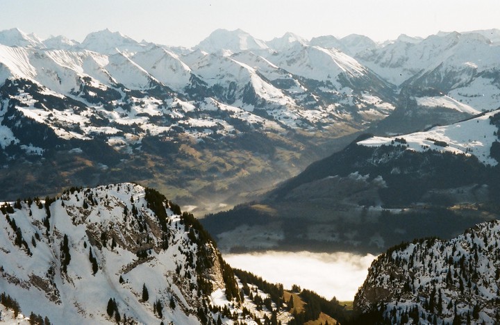 A valley filled with fog is surrounded by snow-covered mountains and evergreen trees.