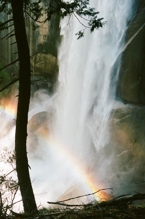 A rainbow appears in the mist at the base of a large waterfall, with a tree trunk and branches in the foreground.