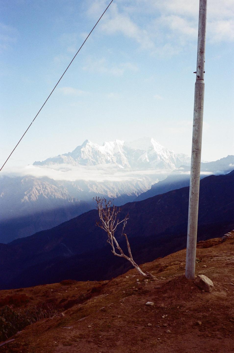 A barren tree and a utility pole stand on a hill overlooking a valley with snow-capped mountains in the distance.